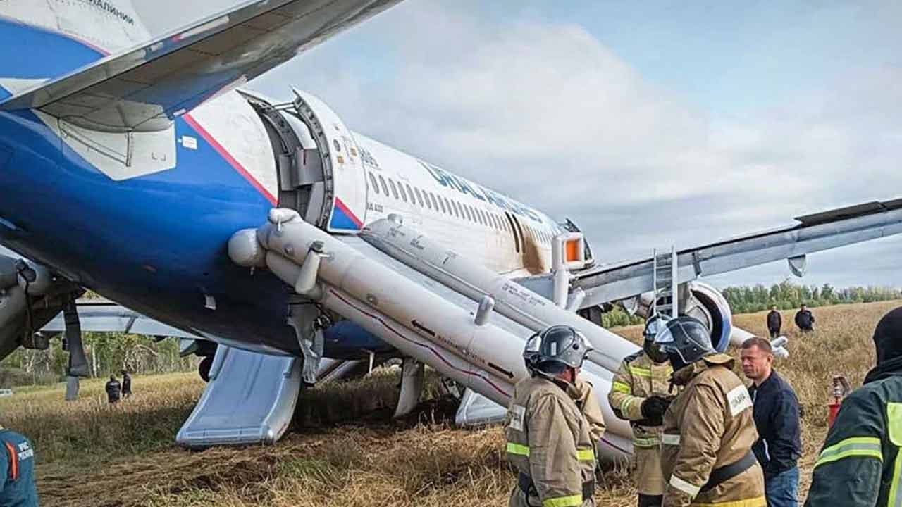 ছবি সংগৃহীত