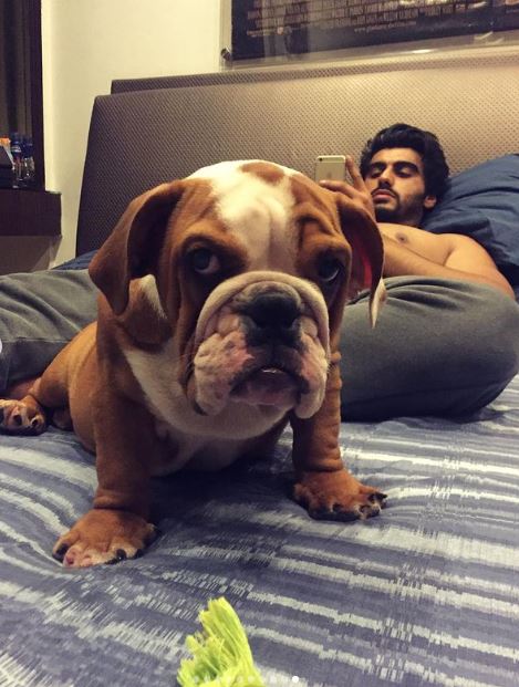 কুকুরের সঙ্গে অর্জুন । ছবি: ইনস্টাগ্রাম