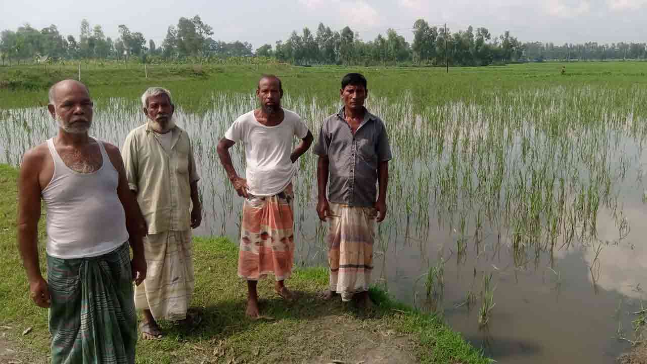 ছবি: দেশ টিভি