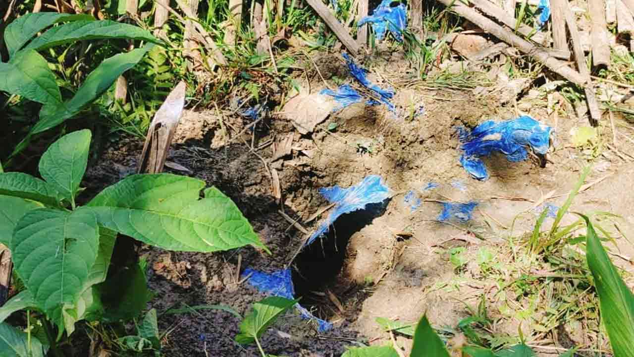 নিজস্ব ছবি