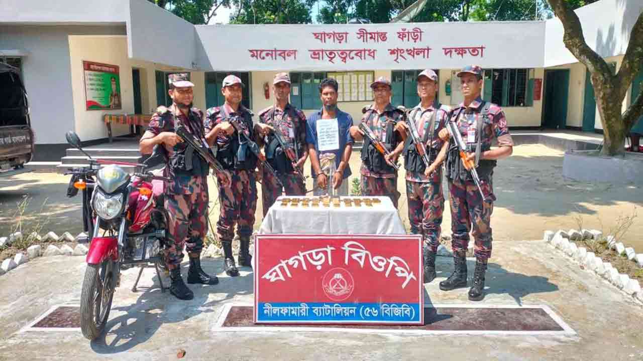 নিজস্ব ছবি