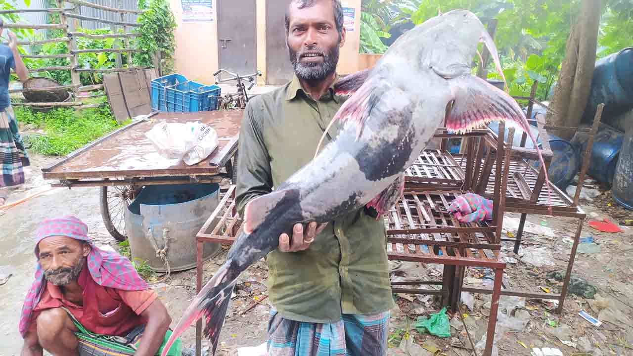 ছবি: দেশ টিভি