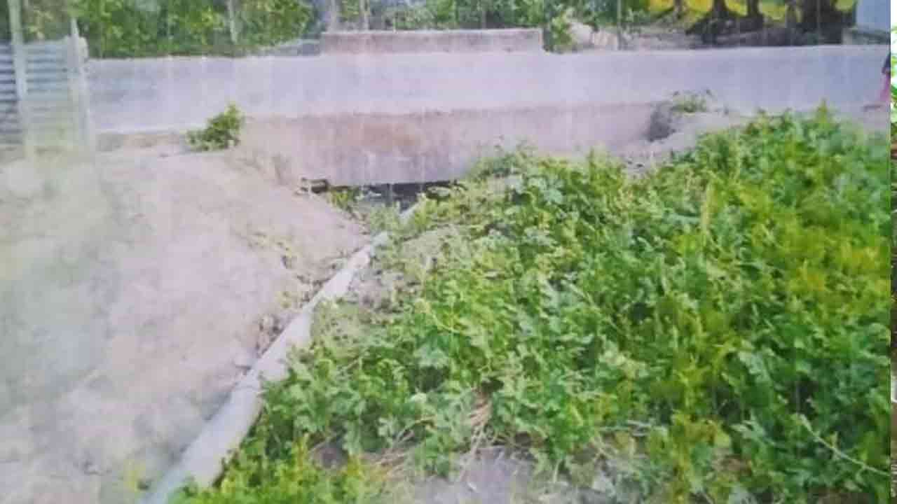 ছবি: দেশ টিভি