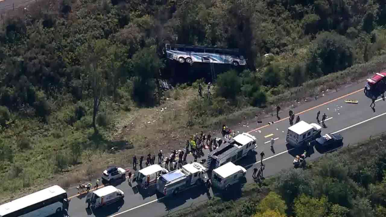 ছবি সংগৃহীত