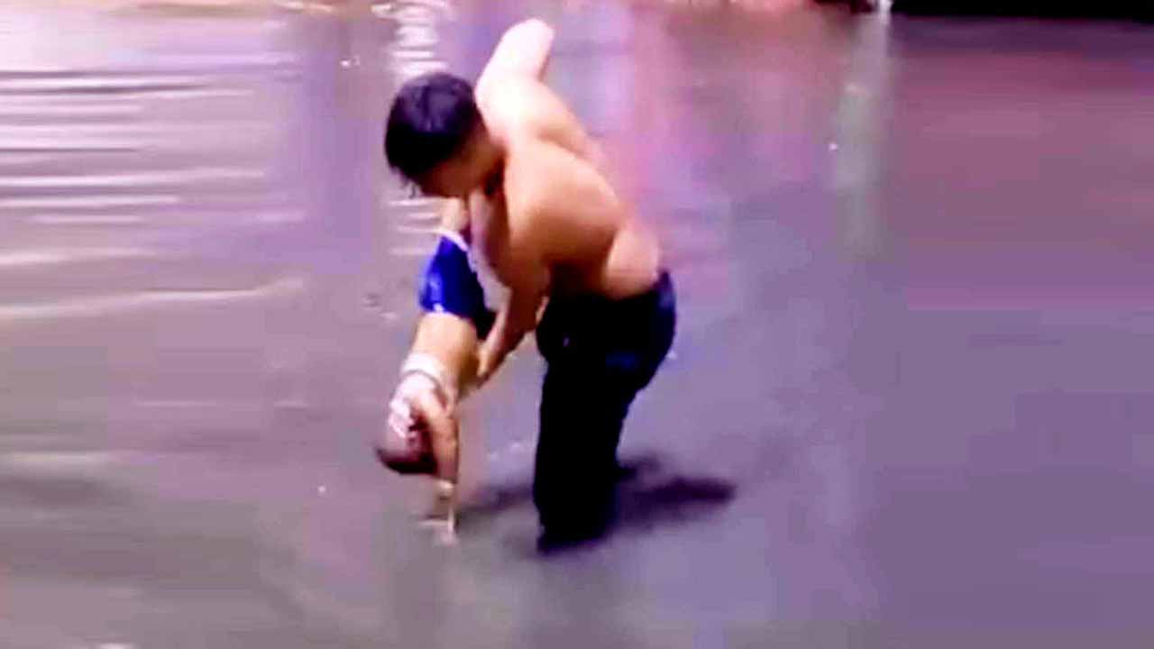 নেট দুনিয়ায় ভাইরাল ছবিটি। সংগৃহীত ছবি