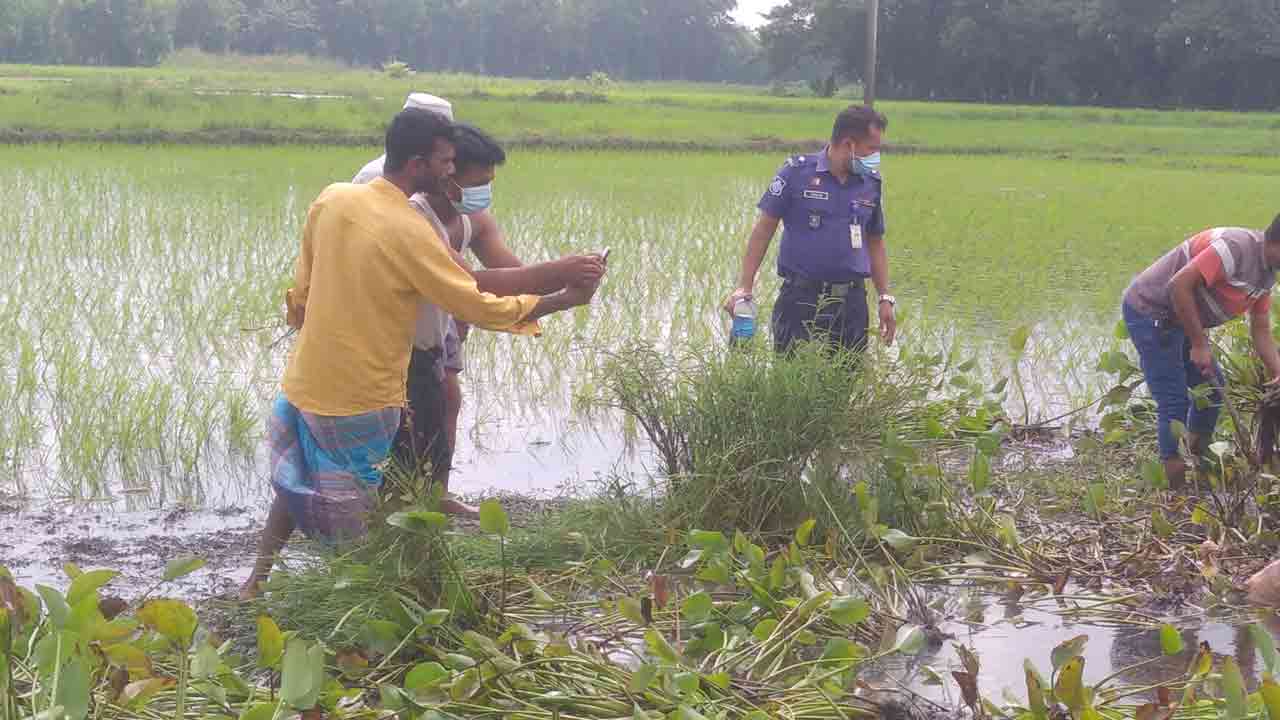 নিজস্ব ছবি