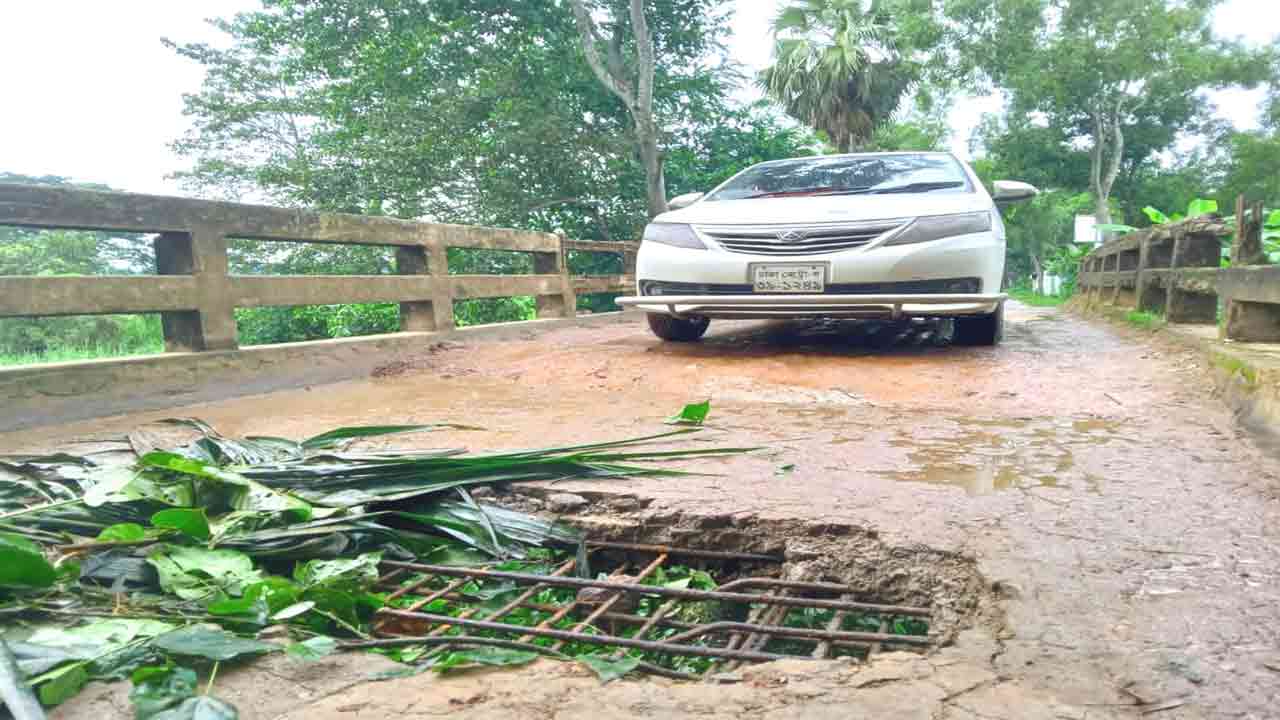 নিজস্ব ছবি