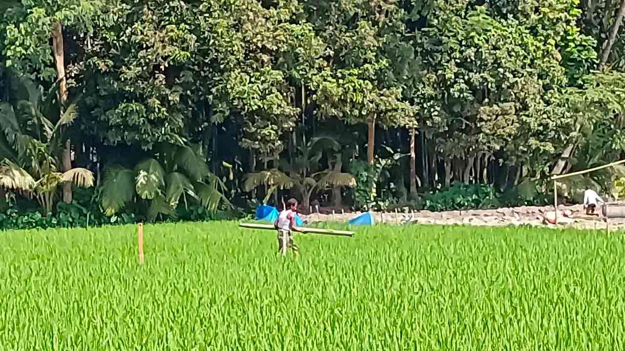 নিজস্ব ছবি