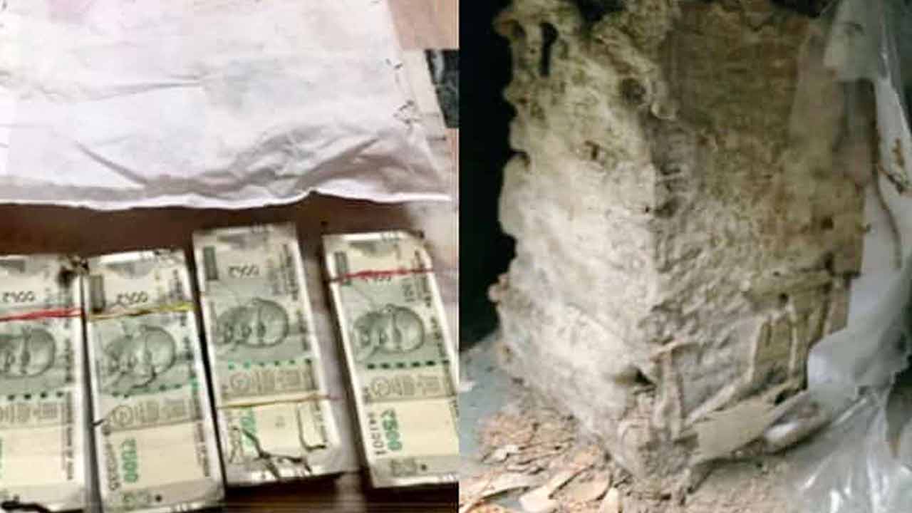 ফাইল ছবি