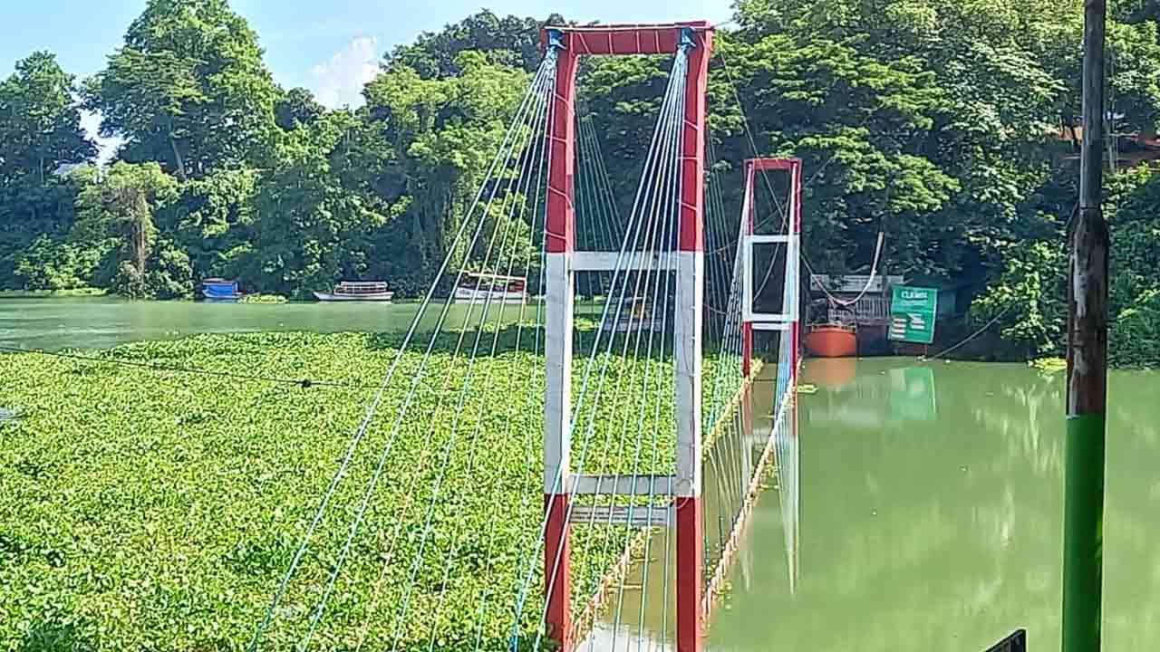 ছবি: দেশ টিভি