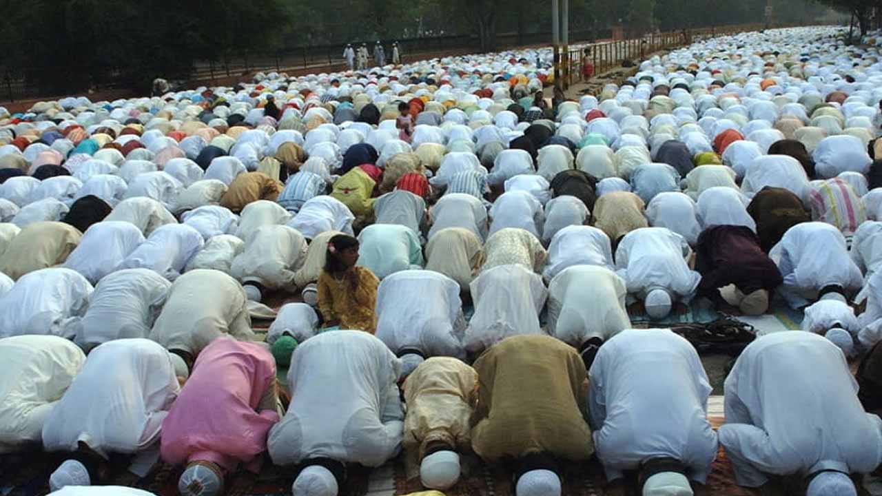 ফাইল ছবি