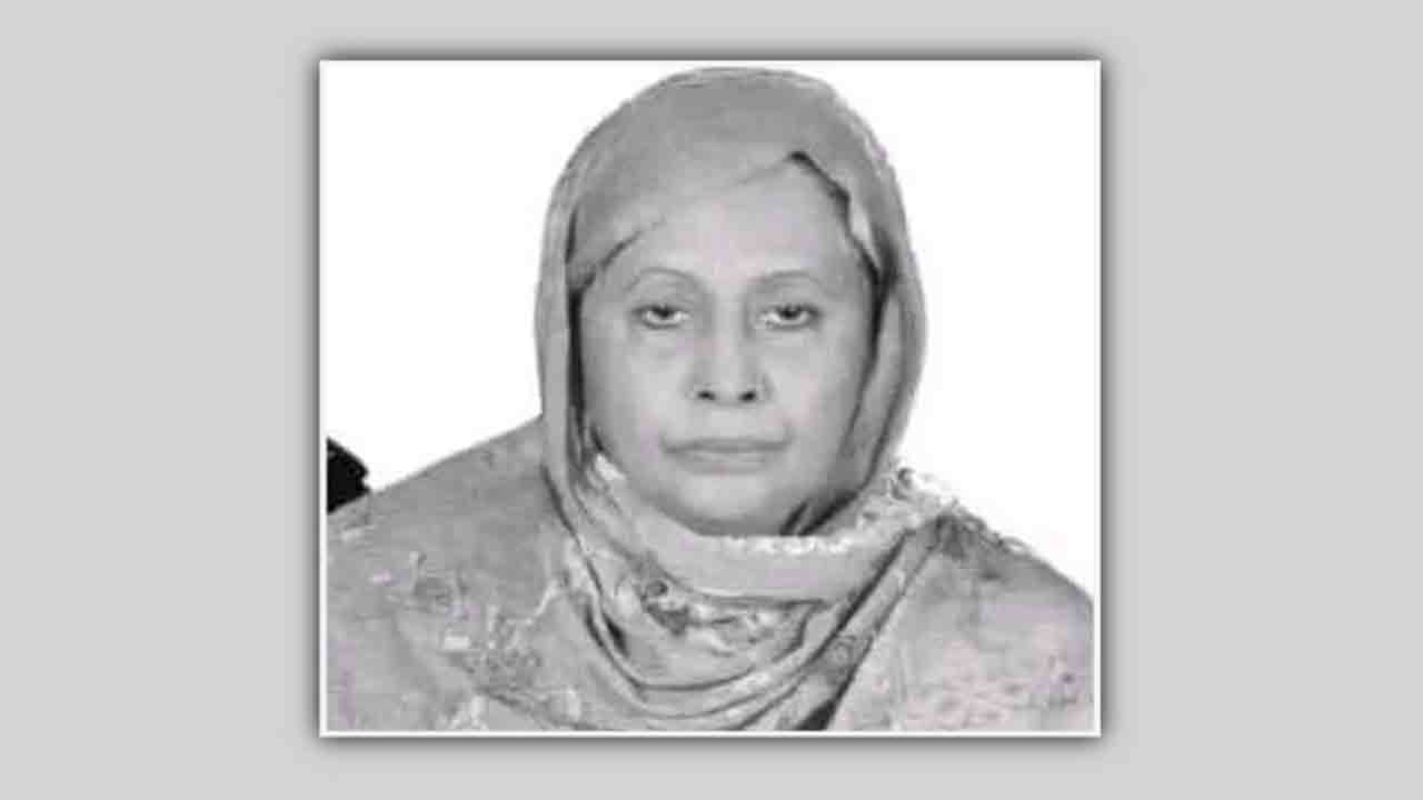 ফাইল ছবি