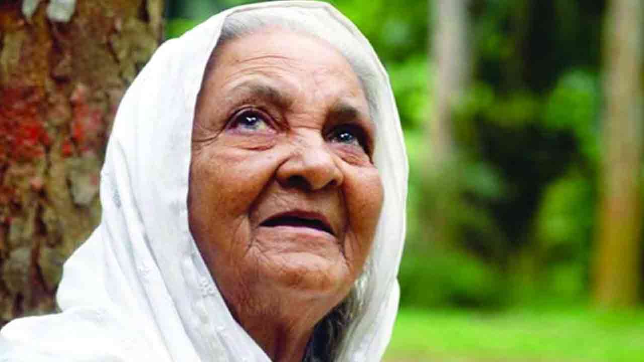 ফাইল ছবি