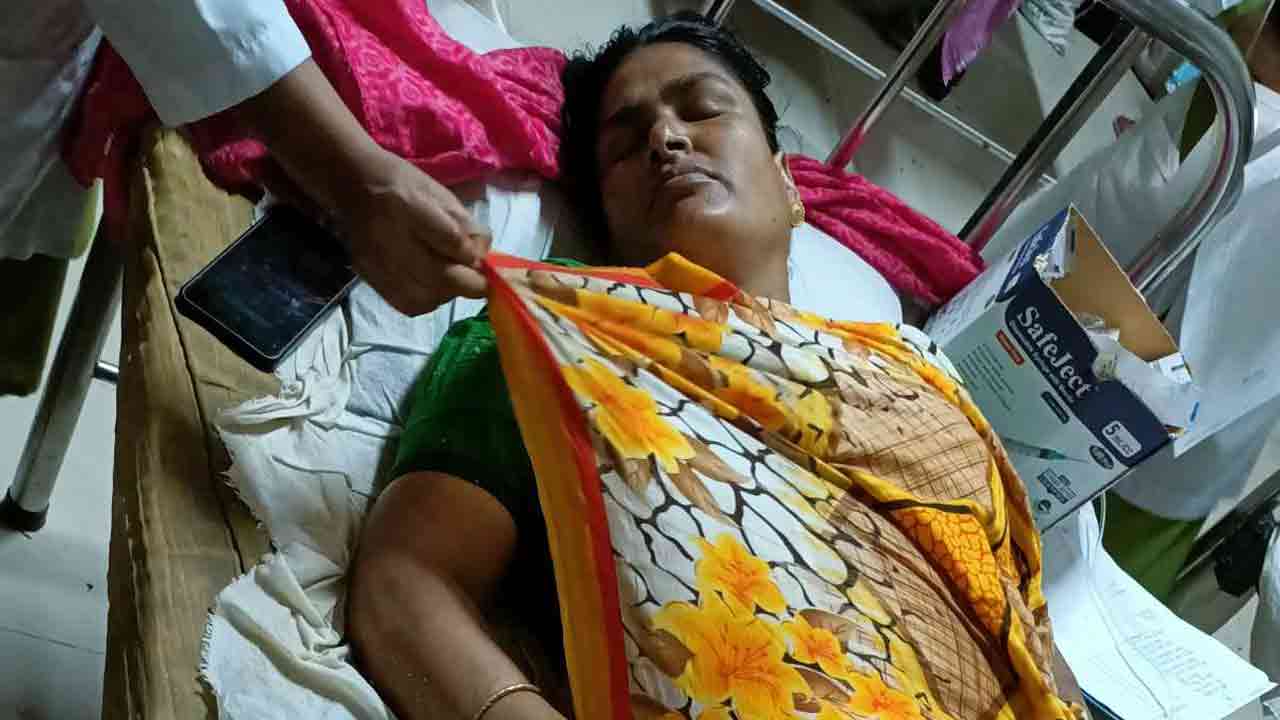 নিজস্ব ছবি