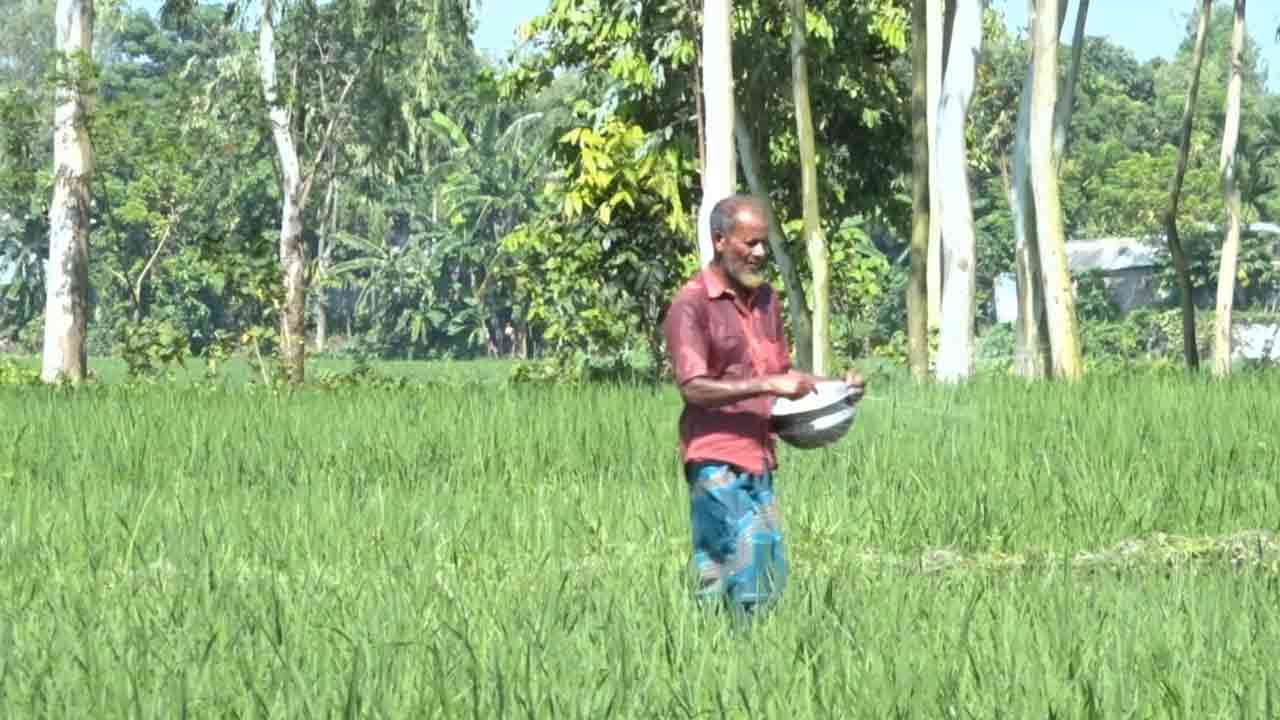 ছবি: দেশ টিভি