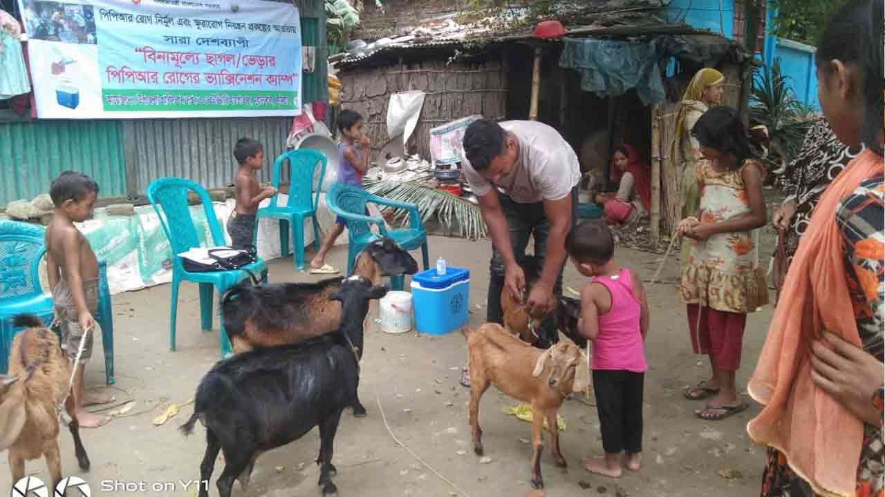 ছবি: দেশ টিভি