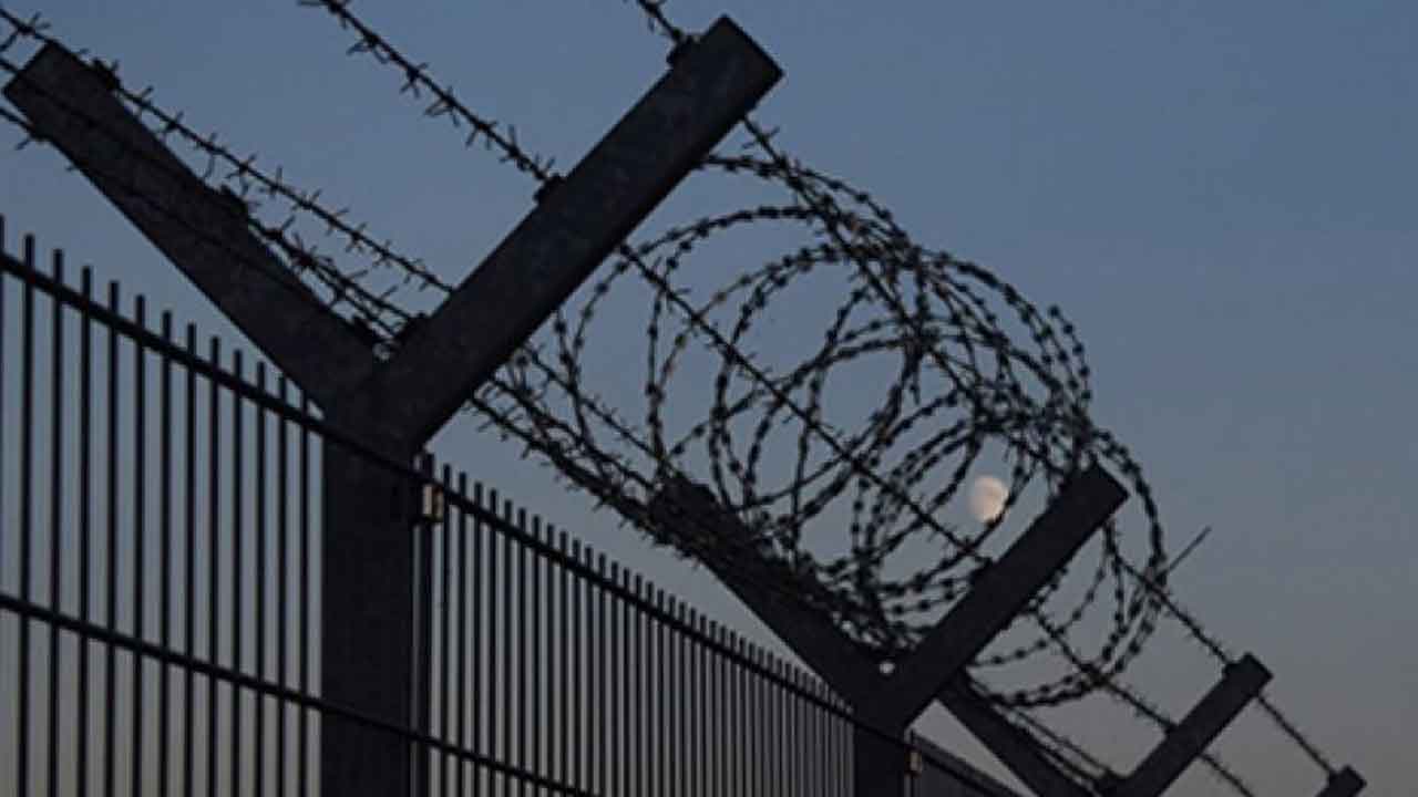 ফাইল ছবি