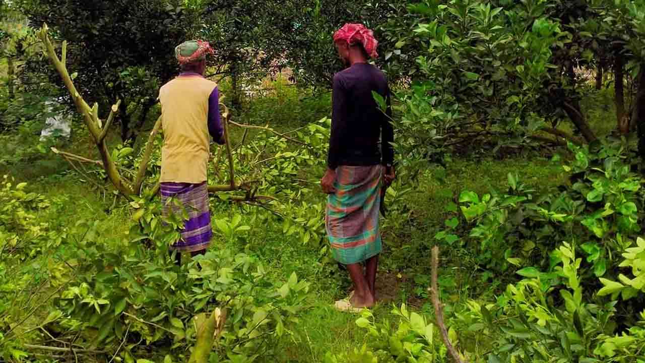 ছবি: দেশ টিভি