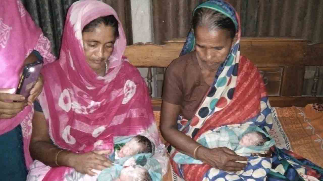 নিজস্ব ছবি