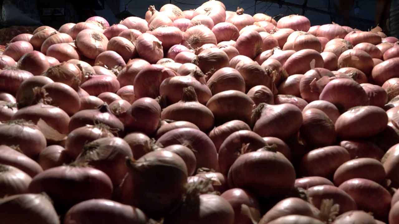 পেঁয়াজ। ফাইল ফটো