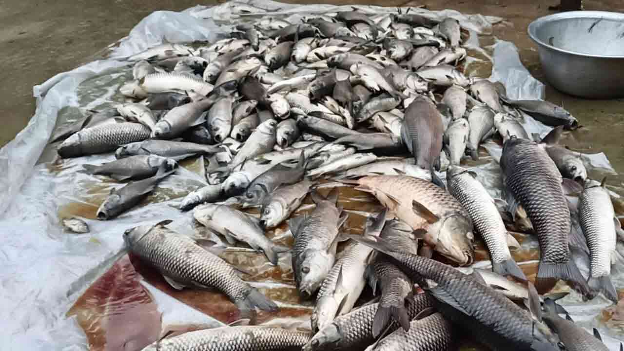 ছবি: দেশ টিভি