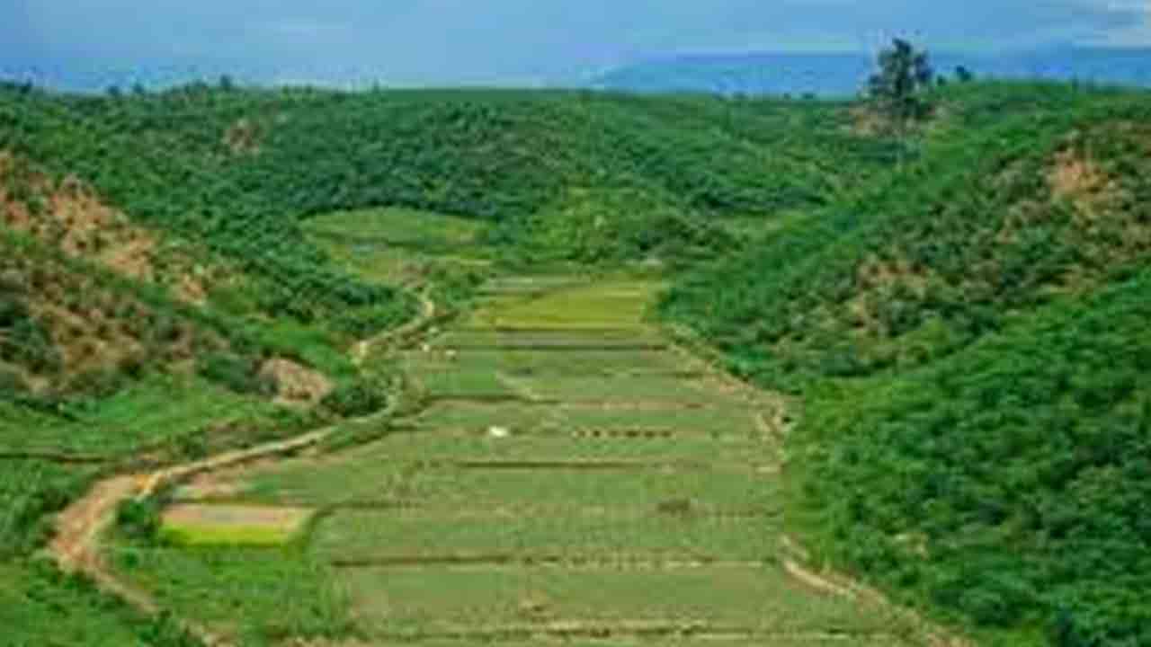 ফাইল ছবি