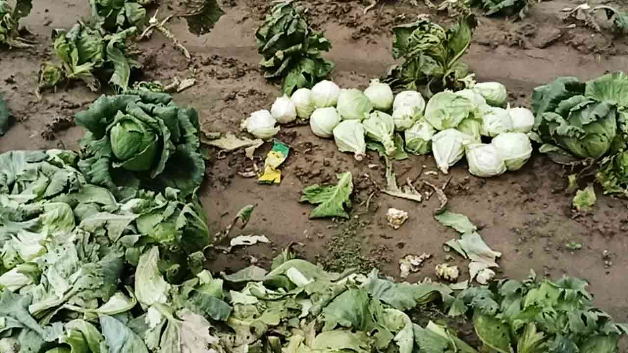 ছবি: দেশ টিভি