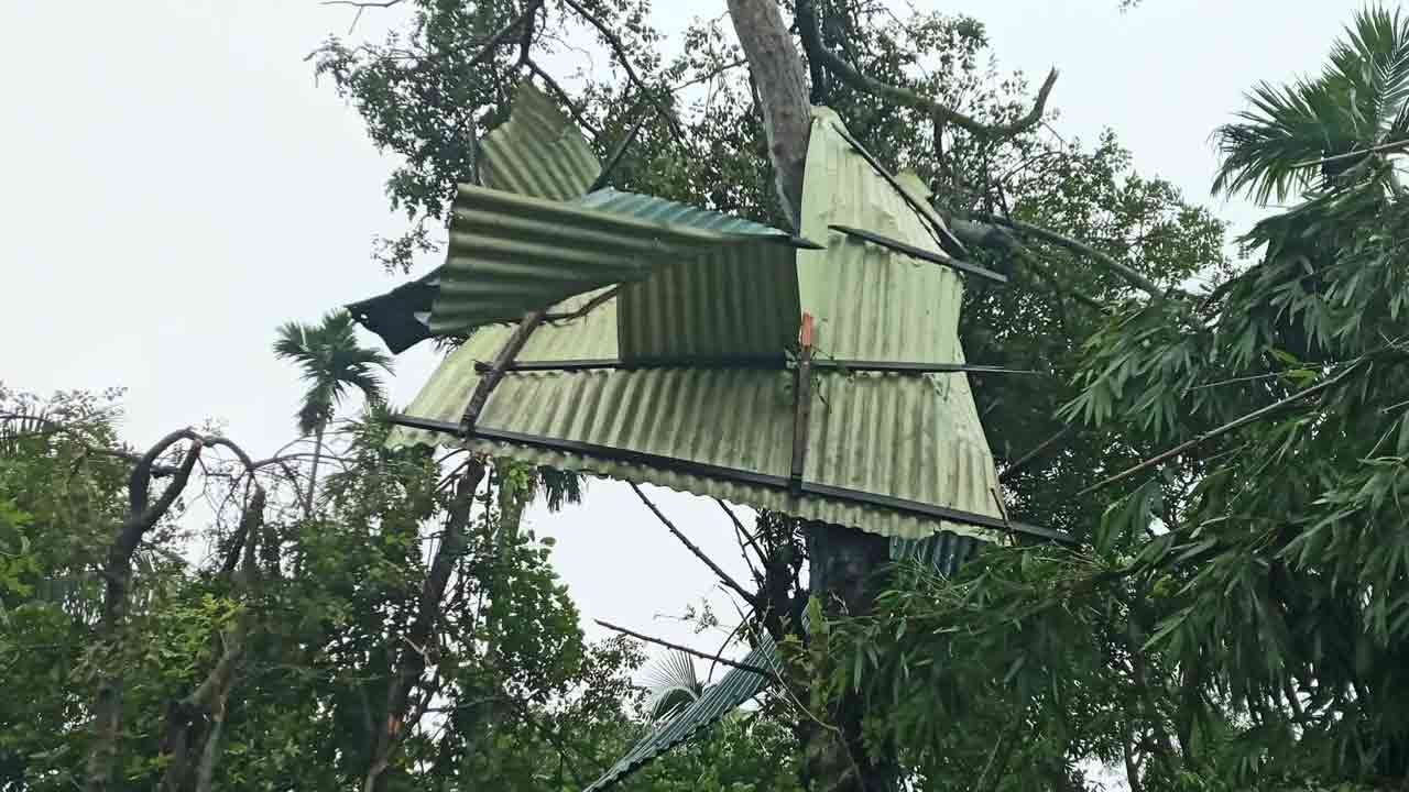 ছবি: দেশ টিভি