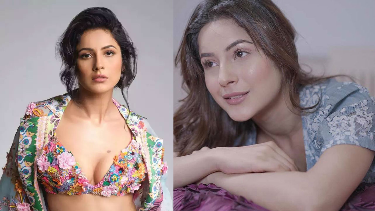 শেহনাজ গিল । ছবি: সংগৃহীত