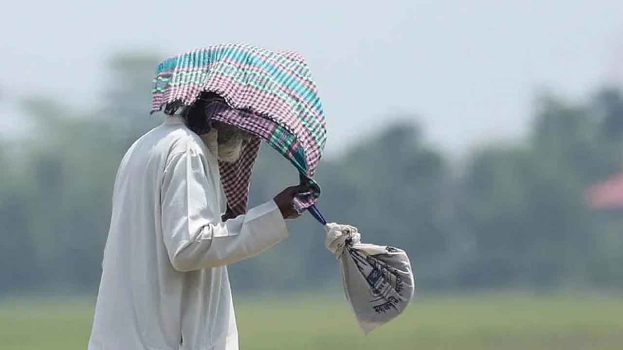 ফাইল ছবি