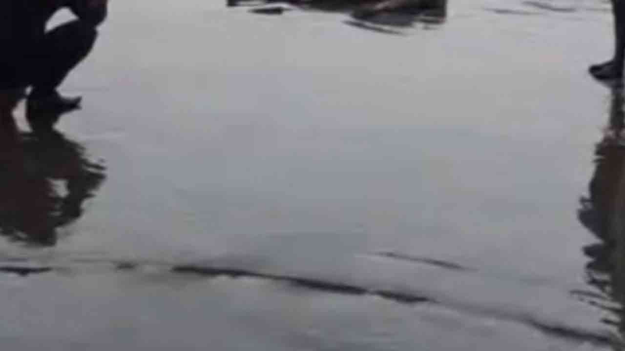 ছবি: ফাইল ছবি