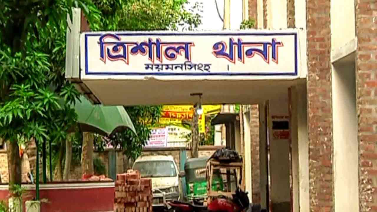 ফাইল ছবি