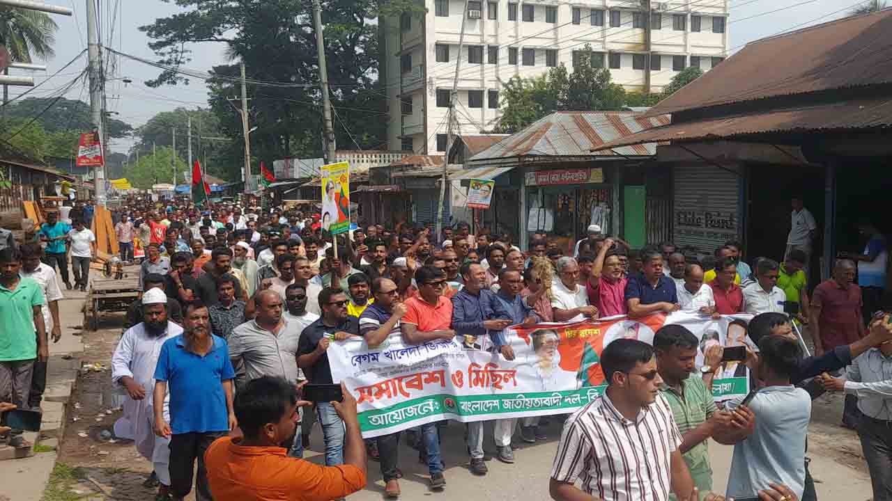 নিজস্ব ছবি