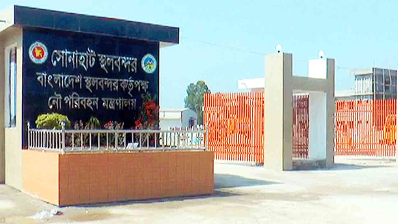 ছবি: ফাইল ছবি