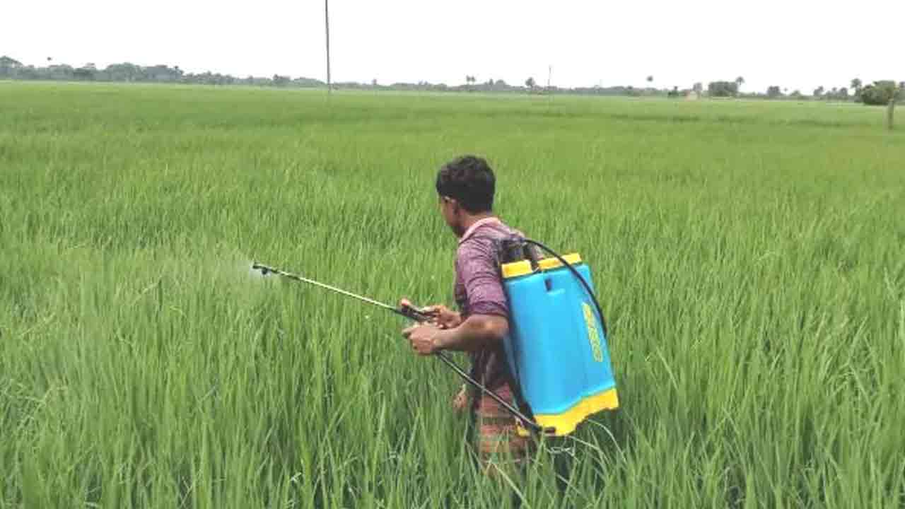 ছবি: দেশ টিভি