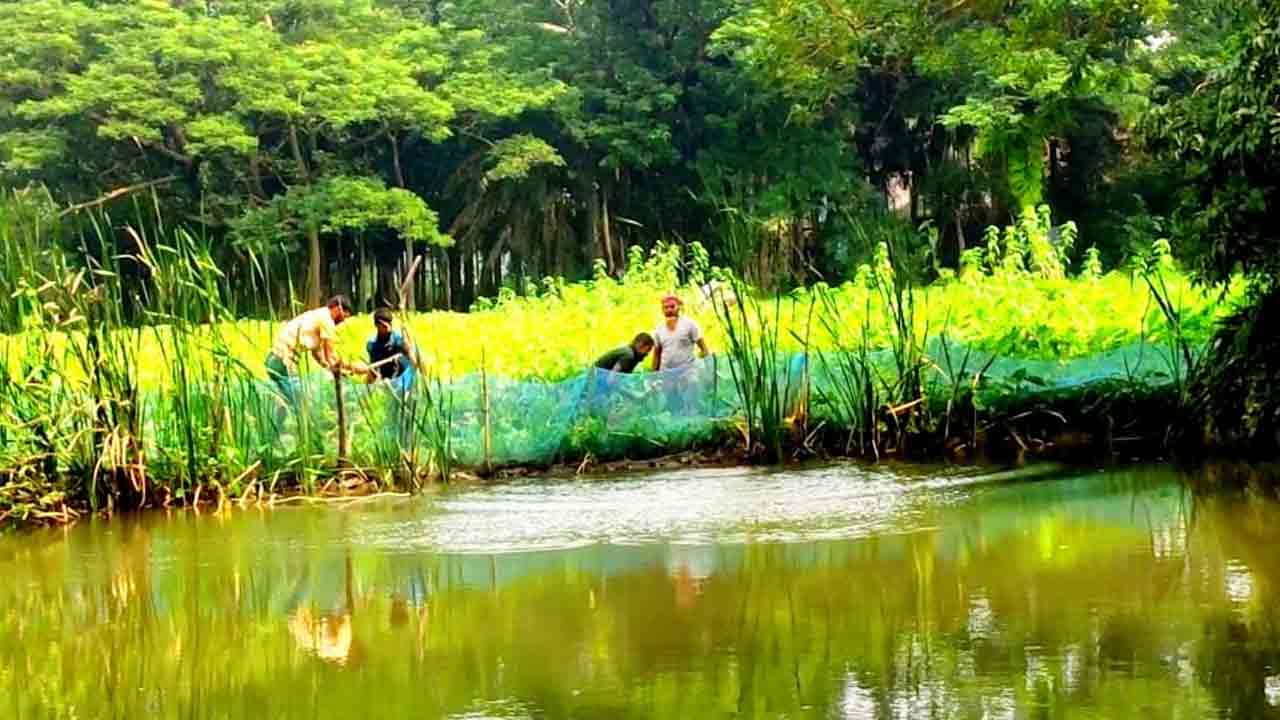 ছবি: দেশ টিভি