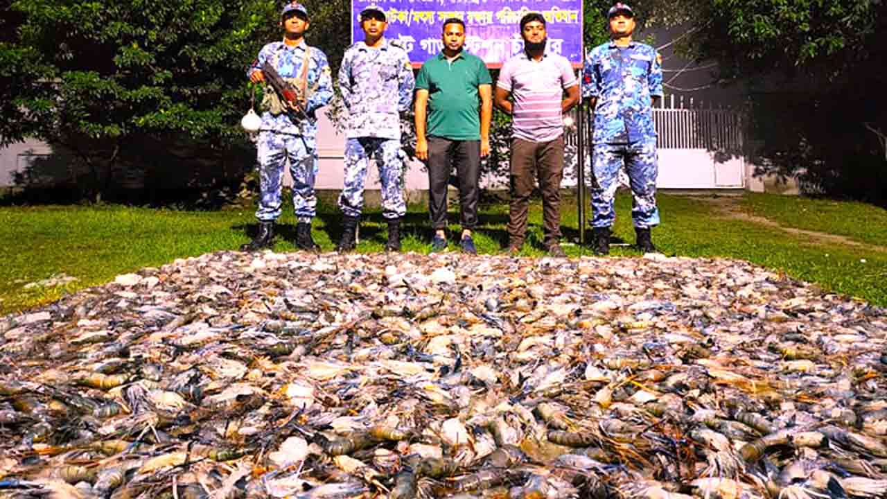 বাসে মিললো সাড়ে ২৭ মণ জেলি পুশ করা চিংড়ি