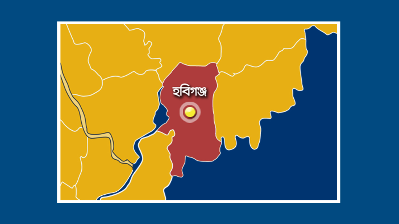 ছবি: ফাইল ছবি