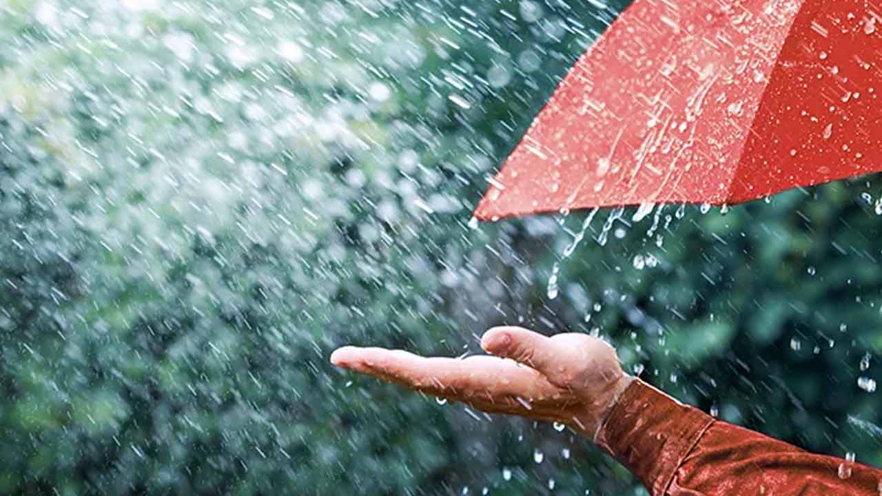 তিন বিভাগে হালকা বৃষ্টি হতে পারে