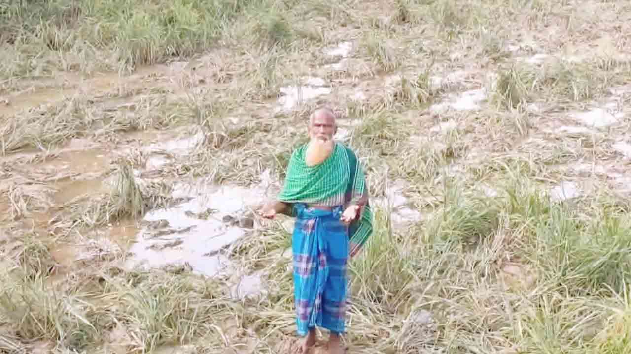 ছবি: দেশ টিভি