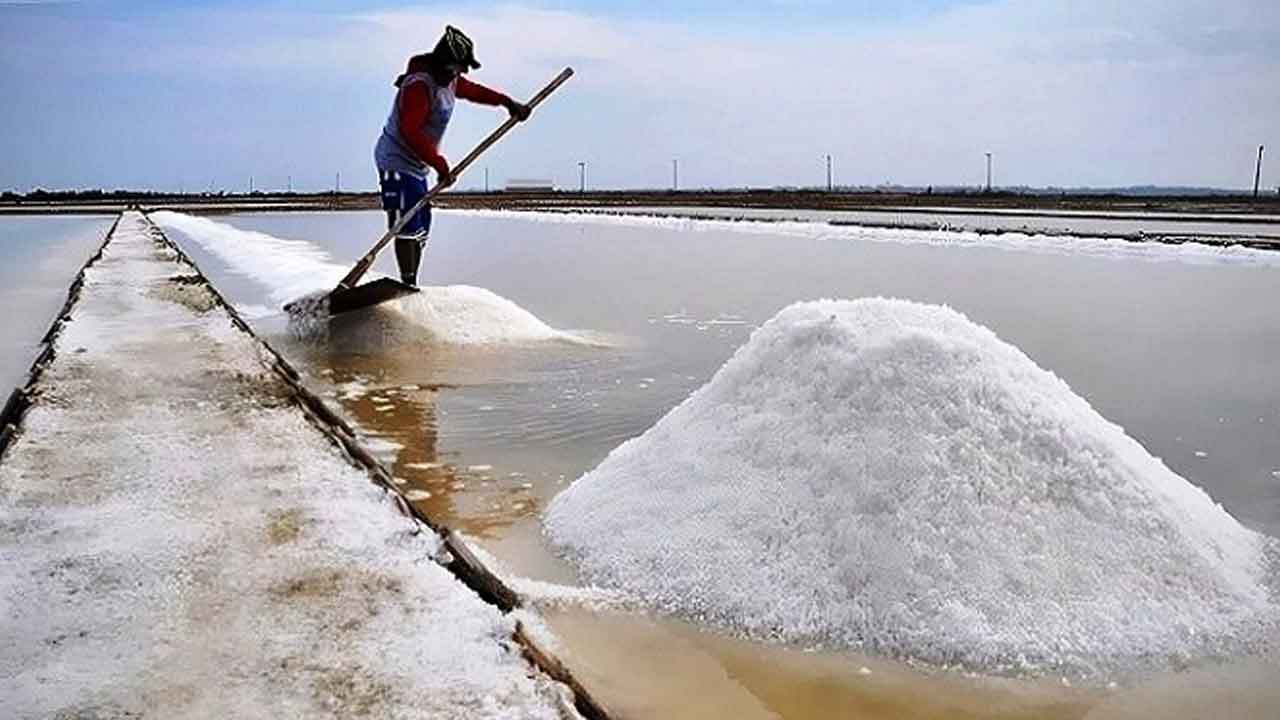 রেকর্ড উৎপাদনের পরও লবণ আমদানি করা হবে