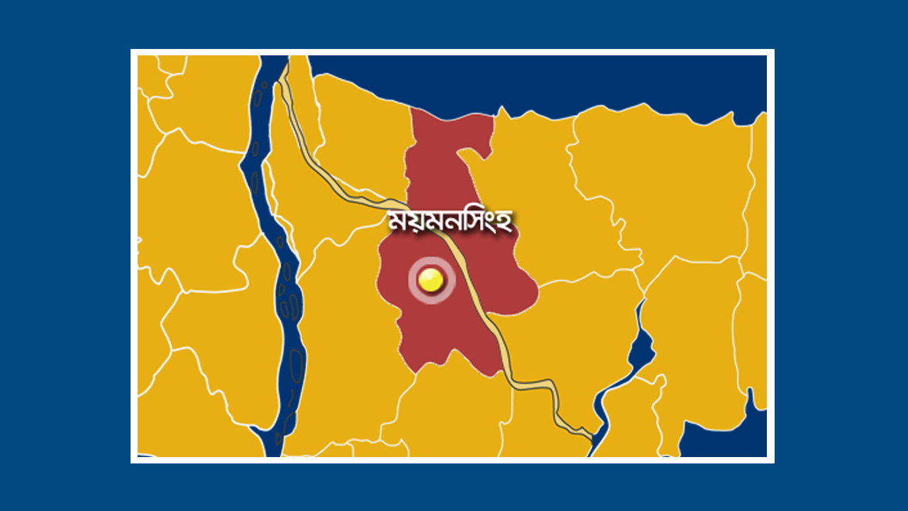 ছবি: ফাইল ছবি