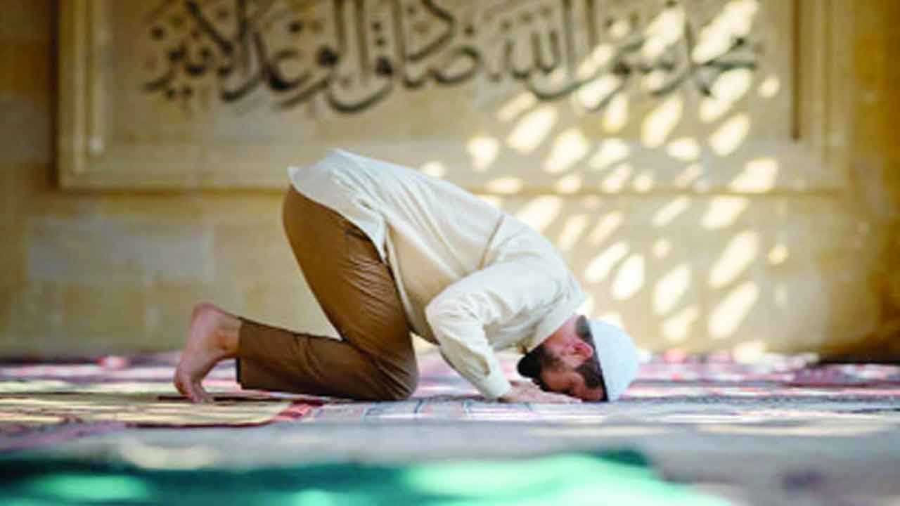 ফাইল ছবি