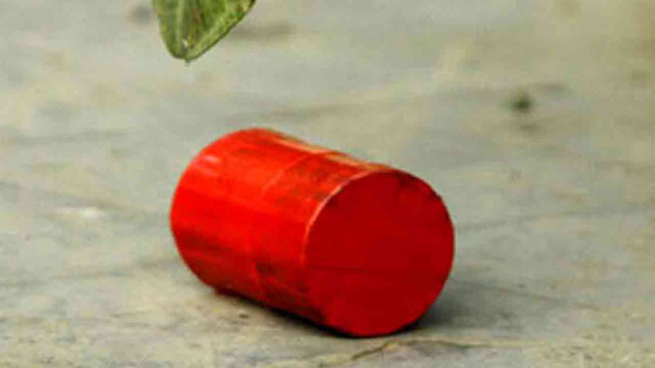 ছবি: সংগৃহীত