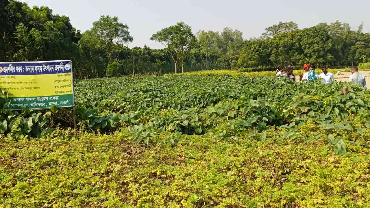 ছবি: দেশ টিভি