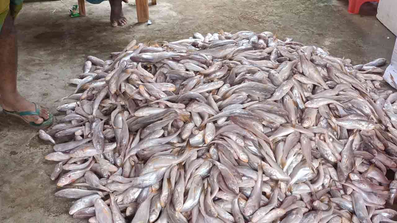 ছবি: দেশ টিভি