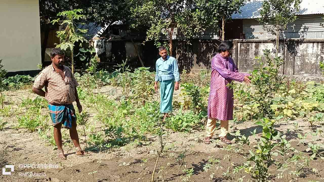 ছবি: দেশ টিভি