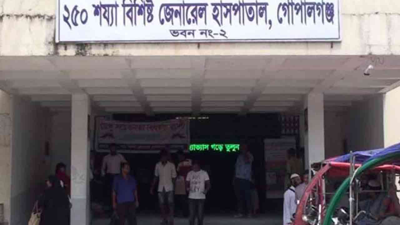 ফাইল ছবি