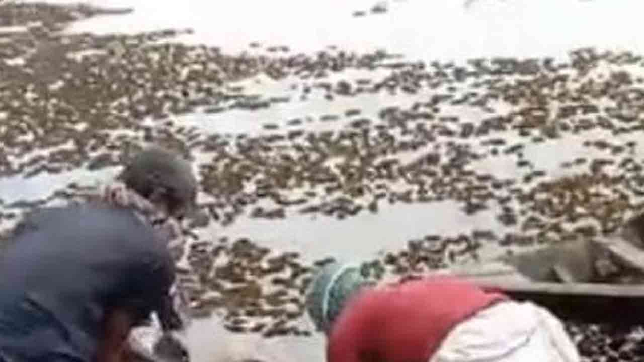 ছবি: দেশ টিভি