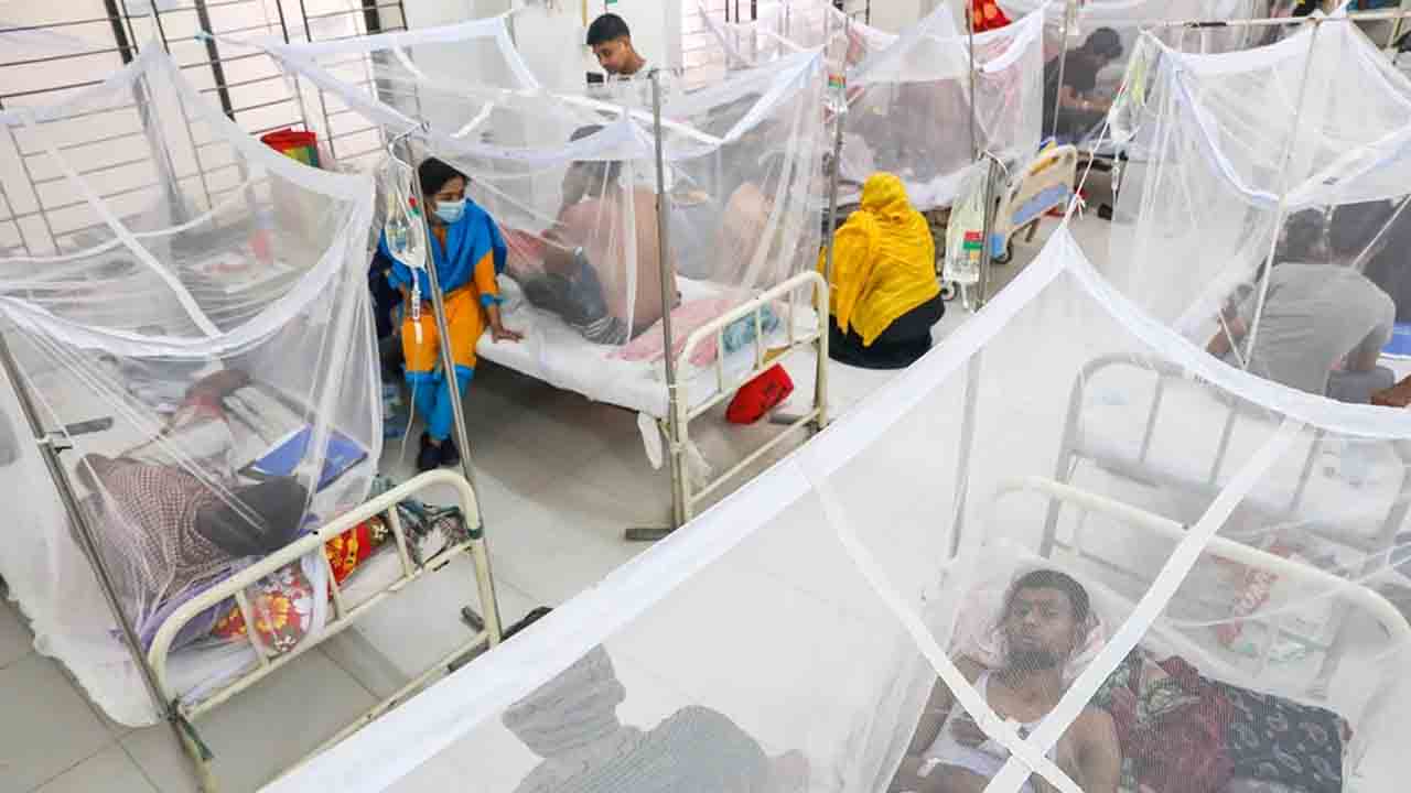 ডেঙ্গু আক্রান্ত হয়ে আরও ৭ জনের মৃত্যু